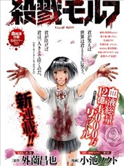 木叶忍者村封面
